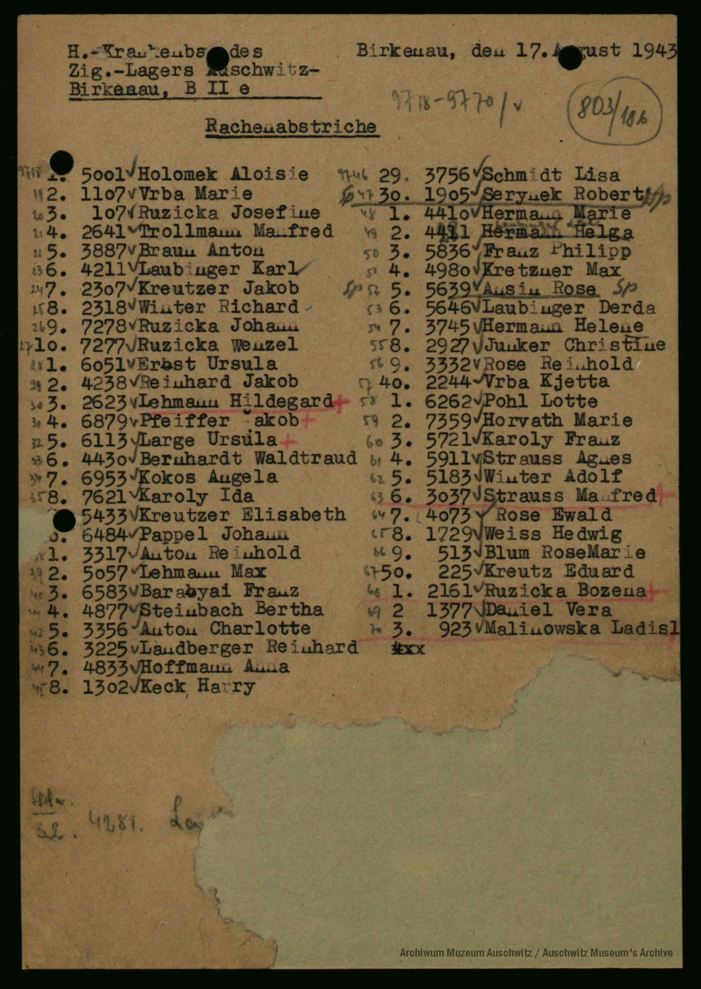 01 Aufstellung aus dem Häftlingskrankenbau des sog. Zigeunerlagers in Auschwitz-Birkenau (Akten des SS-Hygiene-Instituts, Archiv und Museum der Gedenkstätte Auschwitz)_90dpi.png